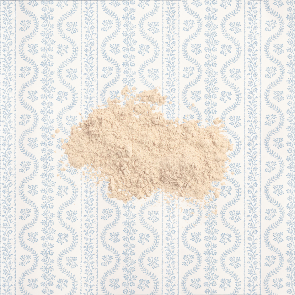 Sunforgettable® Total Protection® Brush-On Shield SPF 50